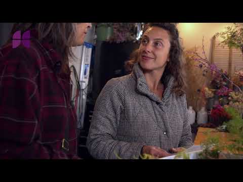 Funding Circle Small Business Spotlight: Flower Casita