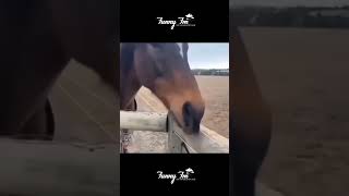 😅 #fypppppppppppppppppppppppppppppppppppppppppppppppppppppppppppppppppppppp #automobile #fyp