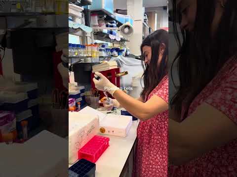 What does cancer research actually look like in labs across the world?