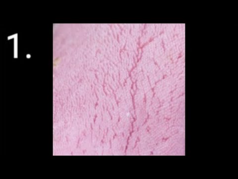 Take a Closer Look | Online Pub Quiz Picture Round | TriviaMystery.com