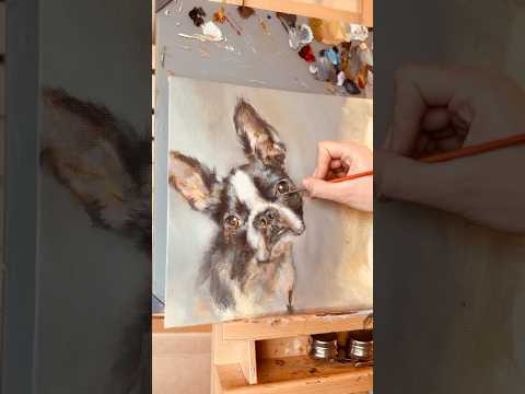 Progress 🐾 #originalart #oilpainting #artist #originalpainting #art #paintingprocess #bostonterrier