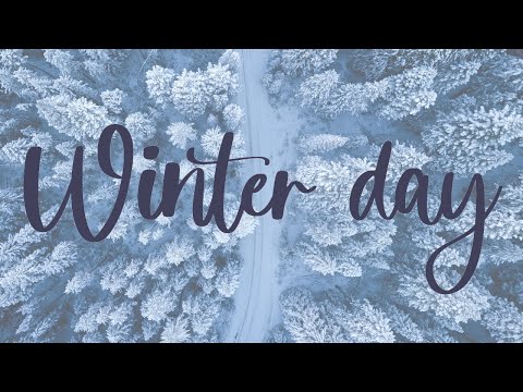WINTER DAY | Cinematic short film / Winter nature b roll