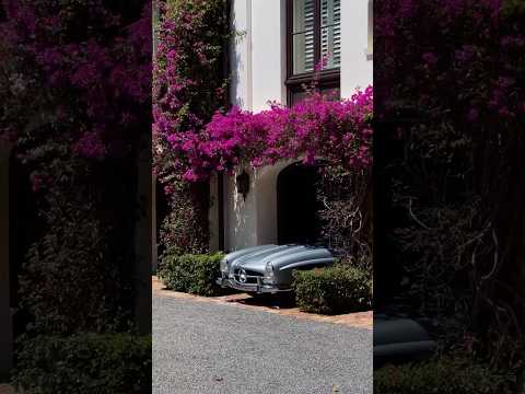 Billionaire luxury lifestyle #cars #motivation #monaco #luxury #billionaire #shorts #viralvideo