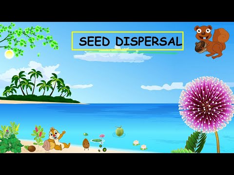 CBSE: Class 5: Science: Ways Of Seed Dispersal with plant names
