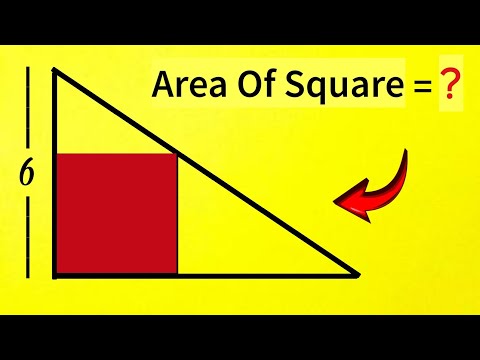Many Adults Get This Wrong! – Can You Solve It?