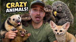 I Let THESE Animals Do Whatever They Want!!