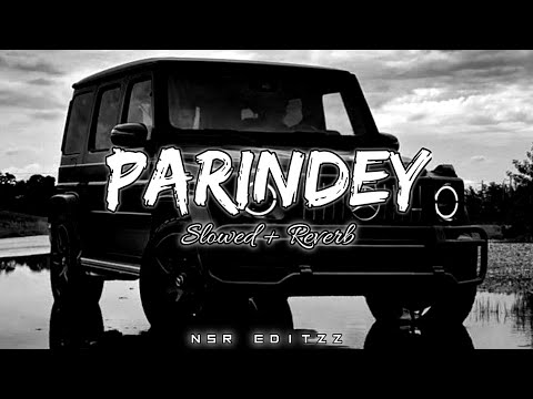 PARINDEY | {Slowed + Reverb} | Sumit Goswami | @nsr_editzz