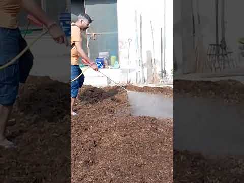 Long Method Mushroom Compost Sterilisation