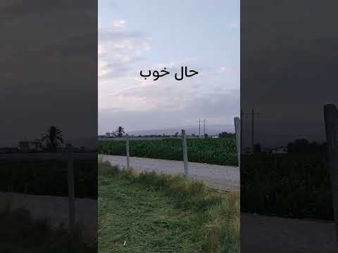 #shorts حال خوبتو باهیچی عوض نکن