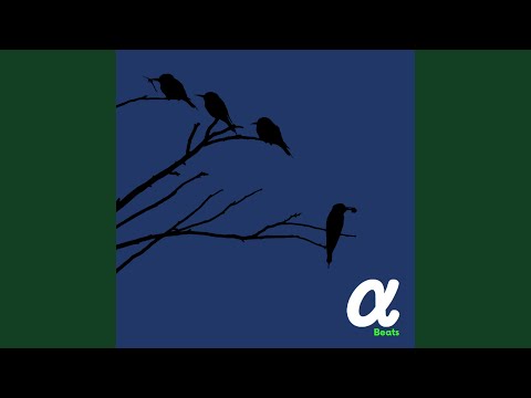 Wake-up Call (Meditation)