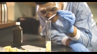 STEM for ALL Students