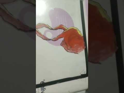 Rainbow glass painting🌈🌈#short video