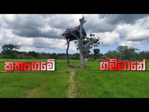 කතරගමක ගමක් | Village In Katharagama SriLanka