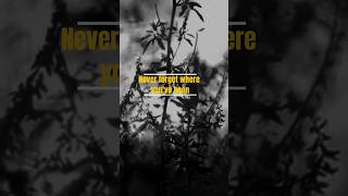 NEVER FORGET WHERE YOU CAME FROM #deepmotivation #respectothers #shorts #emotionalhealing