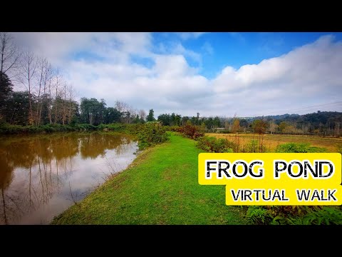 Exploring the Serene Walk-In Frog Pond in Mazandaran