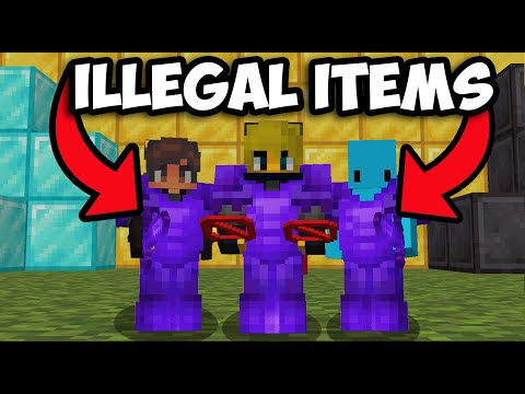 We Ended this SMP Using Illegal Items...