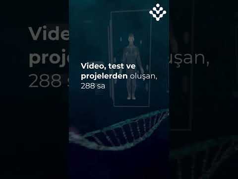 Workintech AI Yazılım Eğitimi