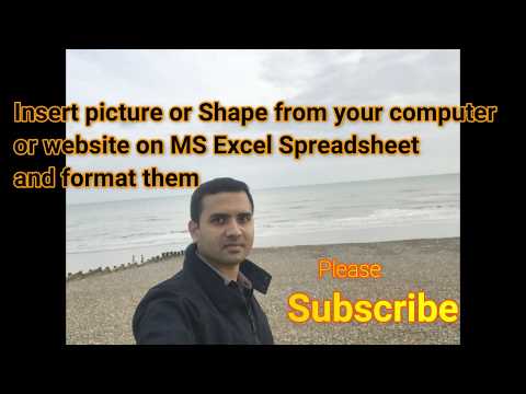 Insert Picture or shape from your computer or website on MS Excel Spreadsheet and format them