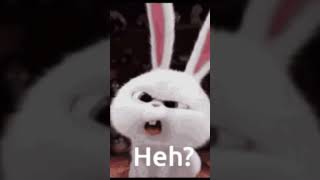 Heh? #heh #trending #viral #youtubeshorts