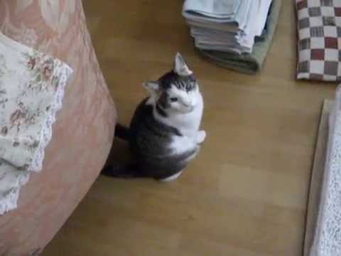 もじもじ