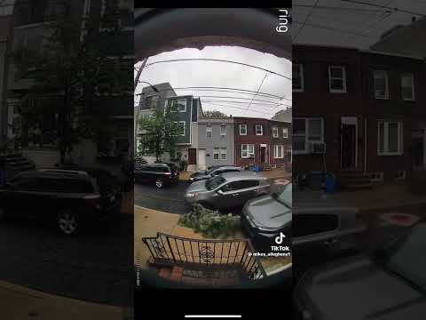 impatient driver in philly drives right on a tree to get around