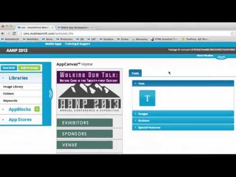 Initial Walk Through of MobileSmith 3.0