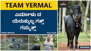 Yermal Da Yerukkulna Gatth Gammath Thule | Team Yermal | Kambala | Seekers
