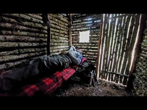 Build a Fantastic Birch House BUSHCRAFT, hut in the woods with a stove