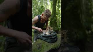 Leopard vs. Python saved them #python #leopard #stories #disturbingfacts