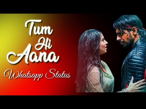 tum hi aana status whatsapp download | marjaavaan song | mrchauhan