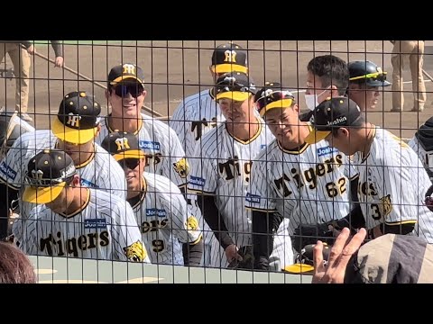 2023/3/10  阪神🔥🐯試合前円陣⚾️🔥