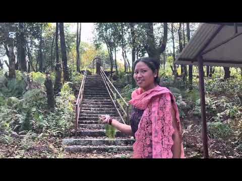 Gumba dada beautiful view  #pyarjung nasa #gharedadapani