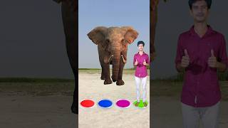 I jump on button to Cat, dog, cow & elephant - Funny vfx new magic