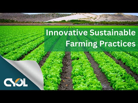 How CYOL Promotes Sustainable Farming | CYOL Press Relaese