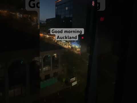 Good Morning, Auckland #shorts