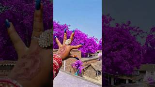 kriyo na mujhse tu #sortssorts #love #trending