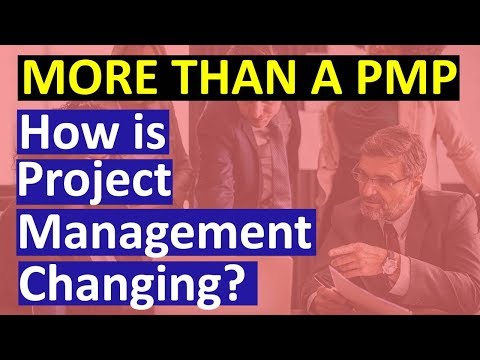 More than a PMP - The Changing Jobs Careers of a Digital Project Manager