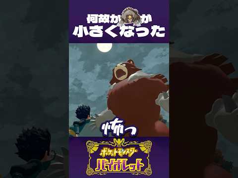 ガチグマが 小ちゃくなっちゃった【ポケモンSV】