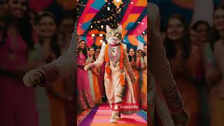 Cat Fashion  #catlovers #animalfacts #petlovers #catlife #catfacts #catcontent #catvideos #cutecats