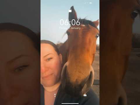 Horse Photobombed My Property Tour! 🐴😂 #Photobomb