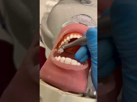 Pre-Dents Dont Miss Out on This Opportunity!