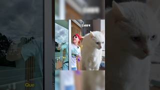 CÓMO SOBREVIVIR A LA POBREZA #pov #funny #comedy #skit #shorts #fyp