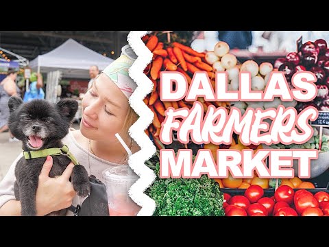 Weekend in Dallas! FARMERS MARKET, Coolest Hidden Bar, Alcoholic Ice Pops -ALL DOG FRIENDLY!