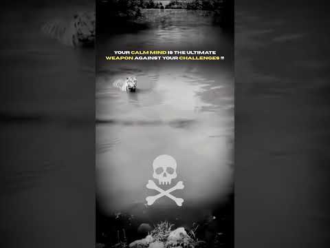 Your Calm Mind Is Your Weapon ~ Motivational Video_ _#shorts #motivation #viral #trending