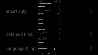 How to open developer option in vivo smartphones?