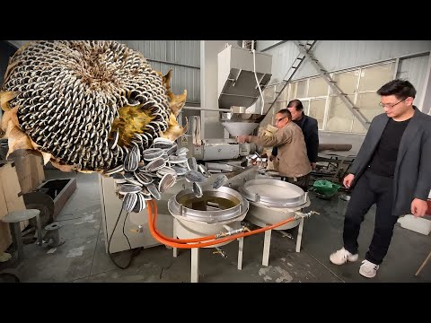 Best Oil Making Machines for Home and Small Business Use