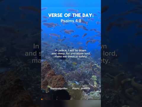 Psalms 4:8 ✝️ #jesus #jesuschrist #spreadtheword #verseoftheday #encouragement #psalms