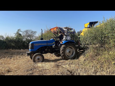"Unlocking Secrets: Surjeet's Expert Techniques for Threshing Paddy Like a Pro!"