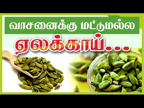 Benefits of Cardamom _ வாசனைக்கு மட்டுமல்ல ஏலக்காய்.. | Tamil health tips