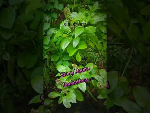 Naan gaali song edit ✨#song #goodnight #srkeditz